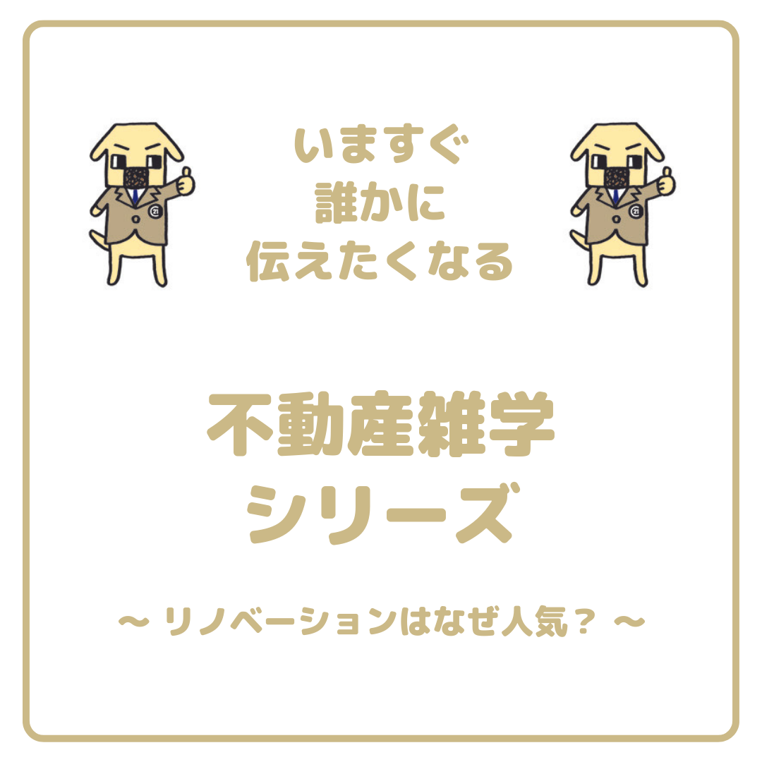 ノベーションはなぜ人気❓